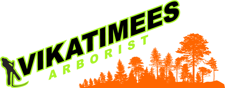 Vikatimees